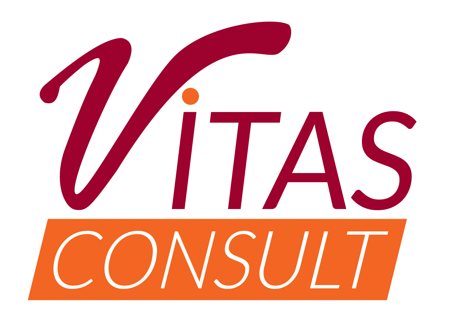 Vitas Consult